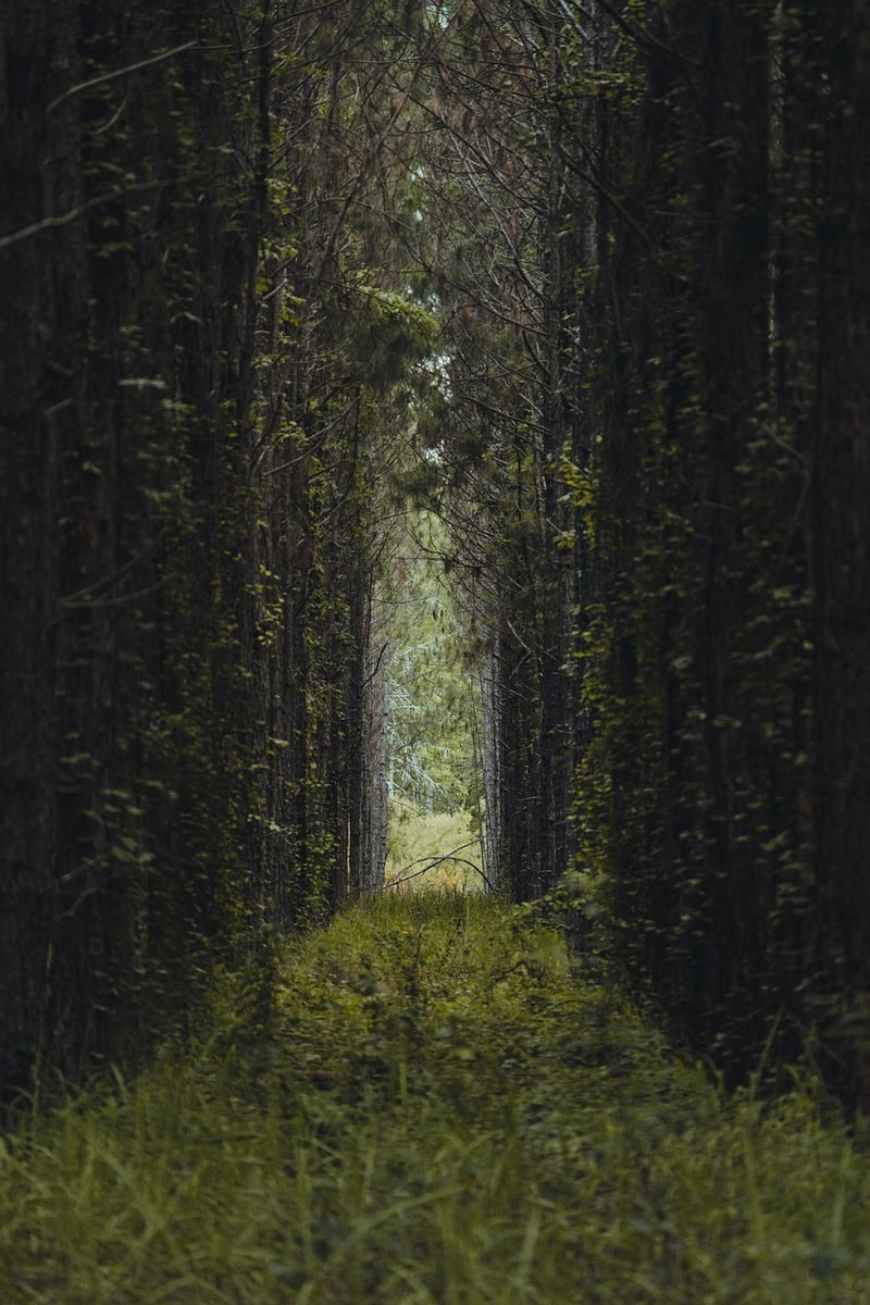 Innovative Architecture